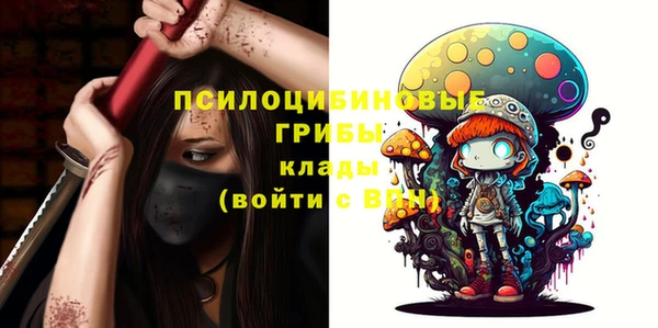 a pvp Алексин